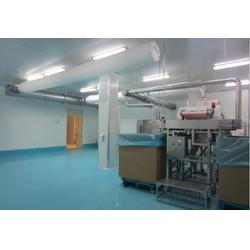 新疆粉塵除塵凈化工程廠家 臨沂哪里有質(zhì)量好的食品粉塵除塵凈化設(shè)備